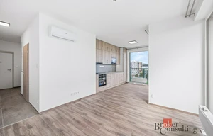 Apartment for rent, 2+kk - 1 bedroom, 47m<sup>2</sup>