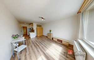 Apartment for rent, 1+KK - Studio, 28m<sup>2</sup>