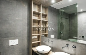 Apartment for rent, 4+kk - 3 bedrooms, 167m<sup>2</sup>