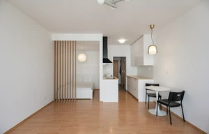 Apartment for rent, 1+KK - Studio, 42m<sup>2</sup>