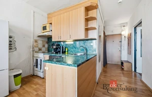 Apartment for rent, 2+kk - 1 bedroom, 47m<sup>2</sup>