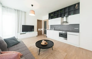 Apartment for rent, 2+kk - 1 bedroom, 49m<sup>2</sup>