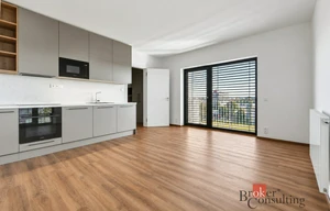Apartment for rent, 1+KK - Studio, 32m<sup>2</sup>