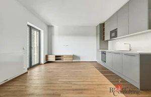 Apartment for rent, 1+KK - Studio, 32m<sup>2</sup>