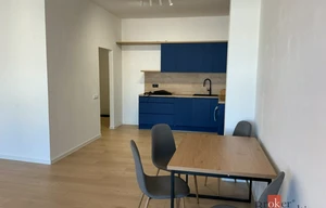Apartment for rent, 1+KK - Studio, 57m<sup>2</sup>