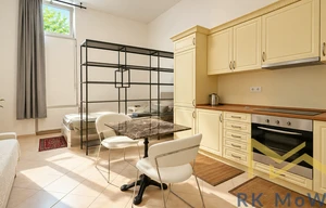 Apartment for rent, 1+KK - Studio, 41m<sup>2</sup>