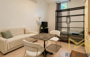Apartment for rent, 1+KK - Studio, 41m<sup>2</sup>