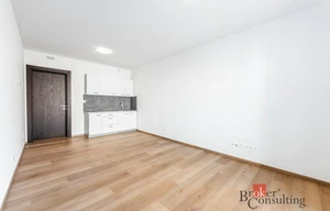 Apartment for rent, 1+KK - Studio, 31m<sup>2</sup>