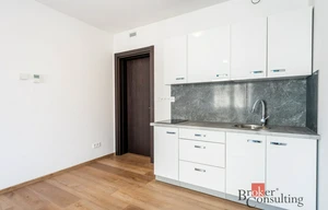 Apartment for rent, 1+KK - Studio, 31m<sup>2</sup>