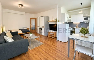 Apartment for rent, 1+KK - Studio, 34m<sup>2</sup>
