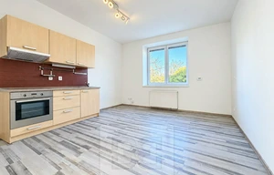 Apartment for rent, 2+kk - 1 bedroom, 40m<sup>2</sup>