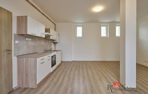 Apartment for rent, 1+KK - Studio, 43m<sup>2</sup>