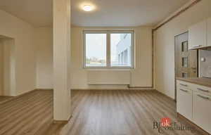 Apartment for rent, 1+KK - Studio, 43m<sup>2</sup>