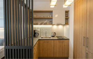 Apartment for rent, 1+KK - Studio, 30m<sup>2</sup>