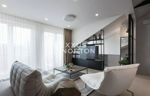 Apartment for rent, 2+kk - 1 bedroom, 115m<sup>2</sup>