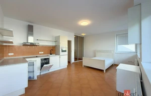 Apartment for rent, 1+KK - Studio, 33m<sup>2</sup>