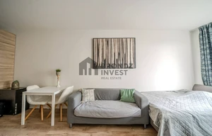 Apartment for rent, 1+KK - Studio, 34m<sup>2</sup>