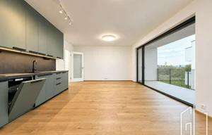 Apartment for rent, 3+kk - 2 bedrooms, 100m<sup>2</sup>