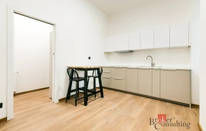 Apartment for rent, 1+KK - Studio, 28m<sup>2</sup>