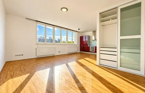 Apartment for rent, 1+KK - Studio, 41m<sup>2</sup>