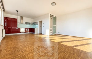 Apartment for rent, 1+KK - Studio, 41m<sup>2</sup>