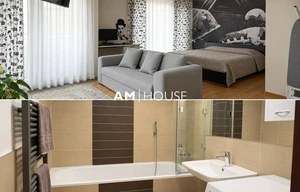 Apartment for rent, 1+KK - Studio, 45m<sup>2</sup>