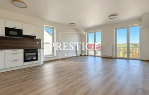 Apartment for rent, 1+KK - Studio, 46m<sup>2</sup>