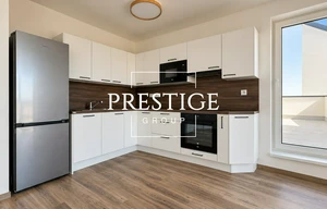 Apartment for rent, 1+KK - Studio, 46m<sup>2</sup>