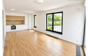 Apartment for rent, 2+kk - 1 bedroom, 55m<sup>2</sup>