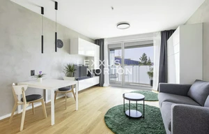 Apartment for rent, 1+KK - Studio, 32m<sup>2</sup>
