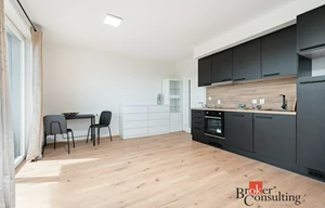Apartment for rent, 1+KK - Studio, 35m<sup>2</sup>
