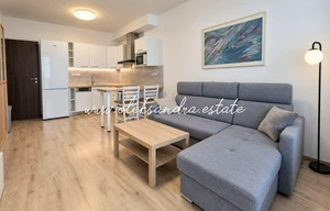 Apartment for rent, 2+kk - 1 bedroom, 50m<sup>2</sup>