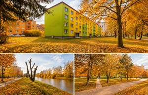 Apartment for rent, 1+1 - Studio, 33m<sup>2</sup>