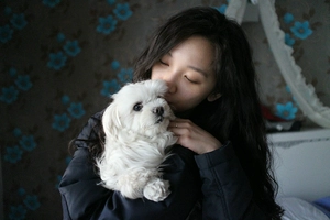 Conversational Korean / English for All Levels