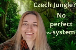 CZECH CONVERSATIONS ONLINE: DAILY LIFE & EXAM PREP