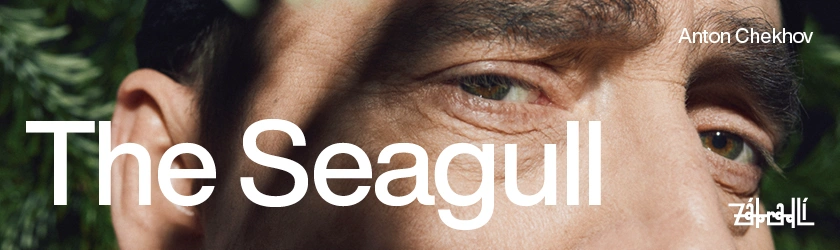 Na zábradlí - The Seagull