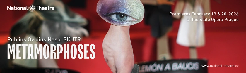 ND Metamorphoses in-article