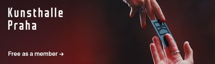 Kunsthalle Membership in-article