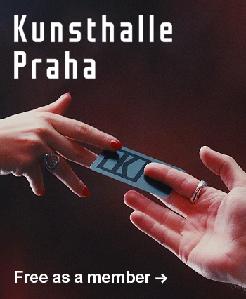 Kunsthalle Membership side