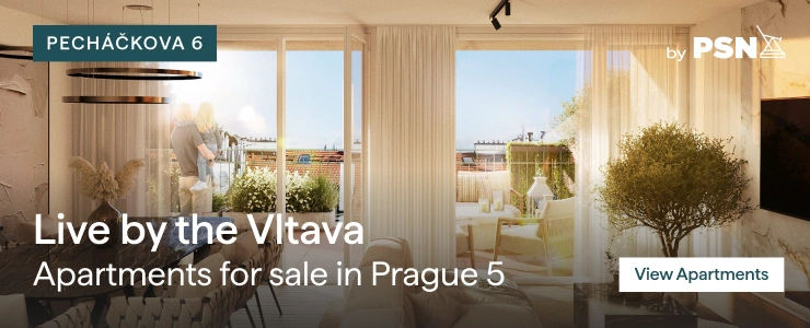 PSN var 1 RE Pecháčkova