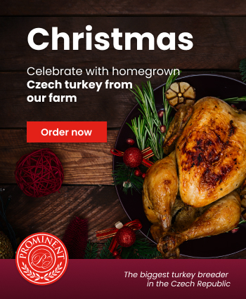 Prominent Christmas - Homepage Main Banner