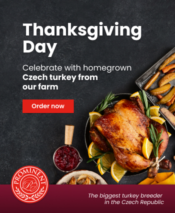 Prominent Thanksgiving - Homepage Main Banner