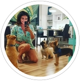 Dogitory - dog sitting and training