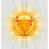 The Manipura Project