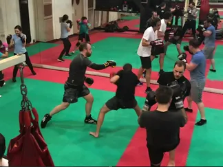 Stand Up Fighting Skills