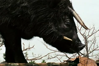 Top 20 Films of 2012