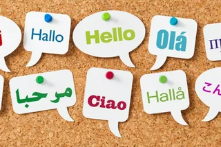 Expats for Hire: Translators