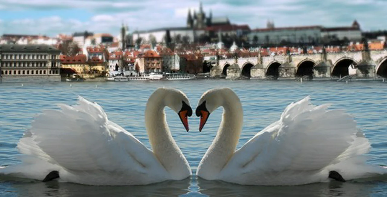 Czech Expressions of Love