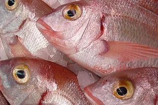 How to Shop for Fish Like a Chef