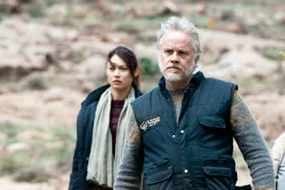 Movie Review: A Perfect Day